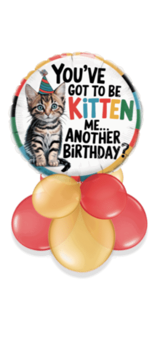 You've Got To Be Kitten Me Birthday Balloon