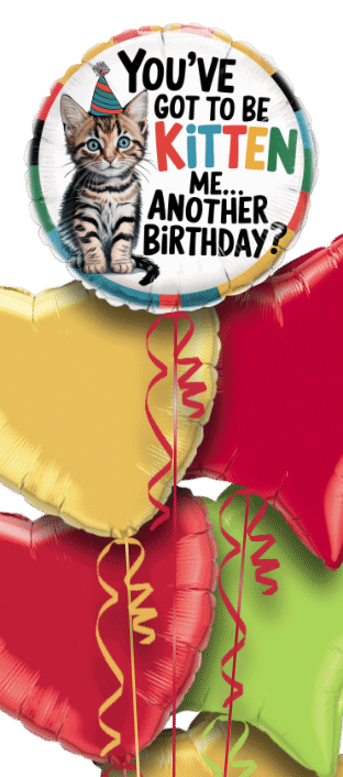 You've Got To Be Kitten Me Birthday Balloon