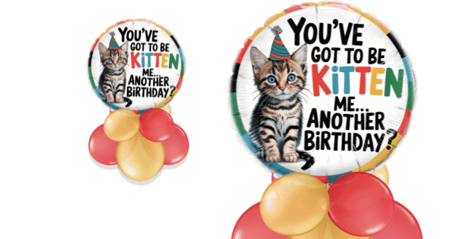 You've Got To Be Kitten Me Birthday Balloon