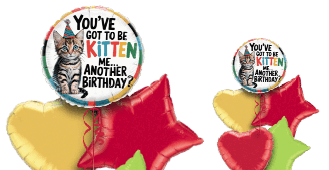 You've Got To Be Kitten Me Birthday Balloon