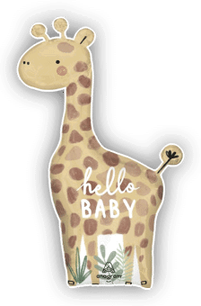 New Baby Giraffe