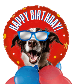 Doggy Shades Birthday Balloon