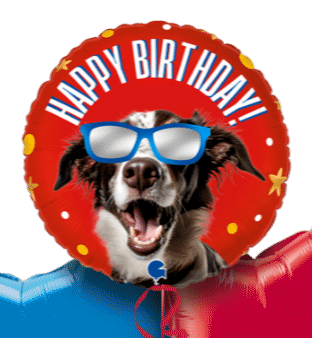 Doggy Shades Birthday Balloon