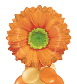 Orange Flower Balloon