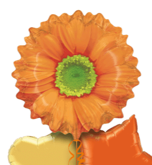 Orange Flower Balloon