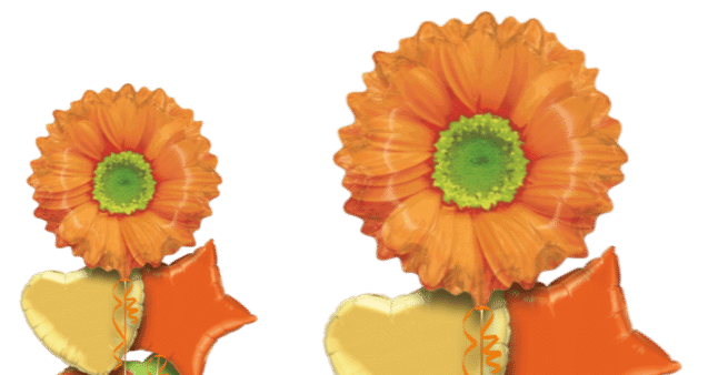 Orange Flower Balloon