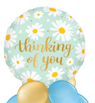 Thinking of You Daisies Balloon