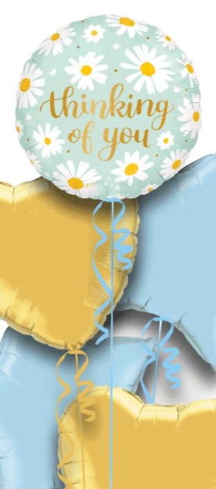 Thinking of You Daisies Balloon
