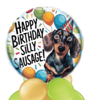 Birthday Silly Sausage Balloon