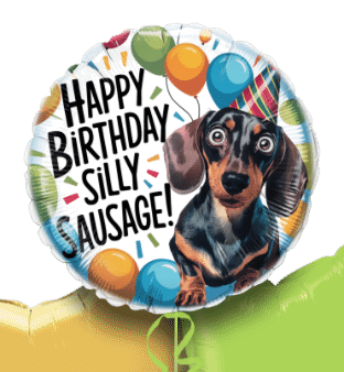 Birthday Silly Sausage Balloon