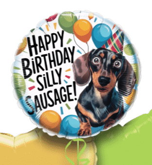 Birthday Silly Sausage Balloon