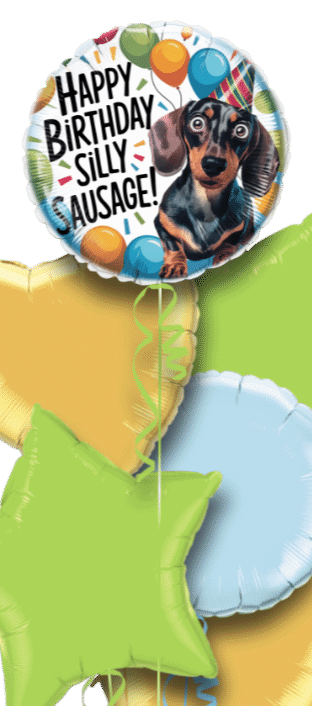 Birthday Silly Sausage Balloon