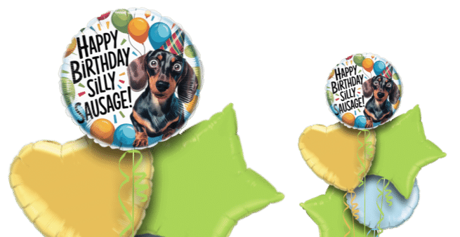 Birthday Silly Sausage Balloon