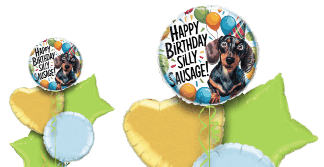 Birthday Silly Sausage Balloon