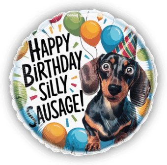 Birthday Silly Sausage