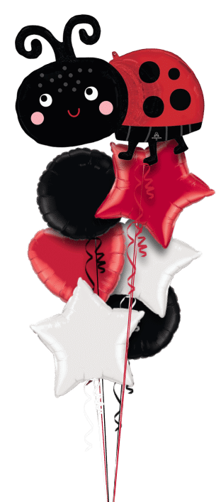 Ladybird Balloon