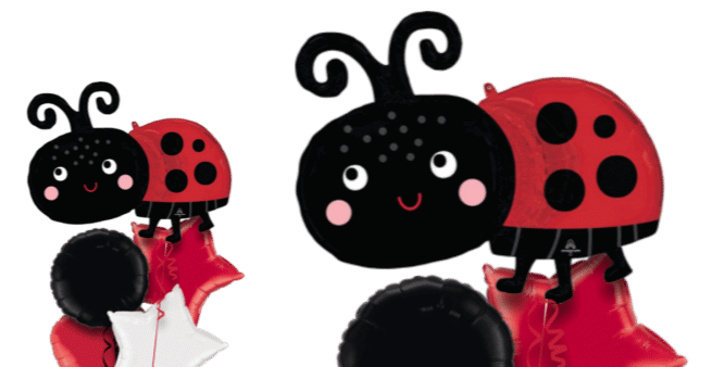 Ladybird Balloon