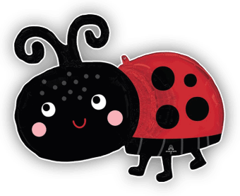 Ladybird