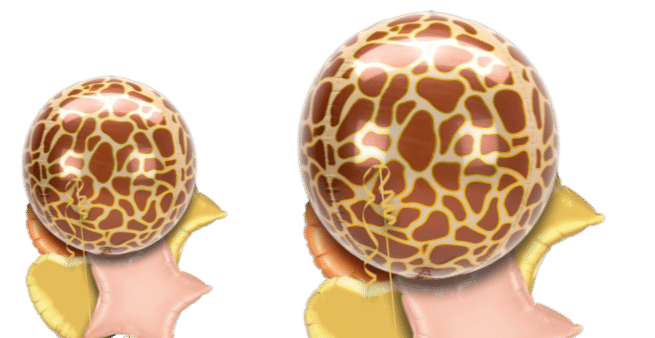 Giraffe Print Orbz Balloon