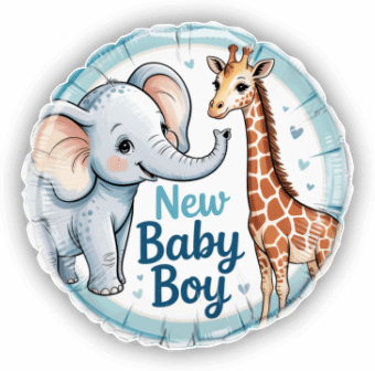Baby Boy Elephant