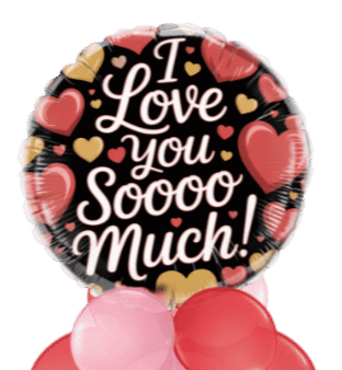 Love You Sooo Much! Balloon