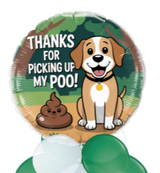 Poo Dad Balloon