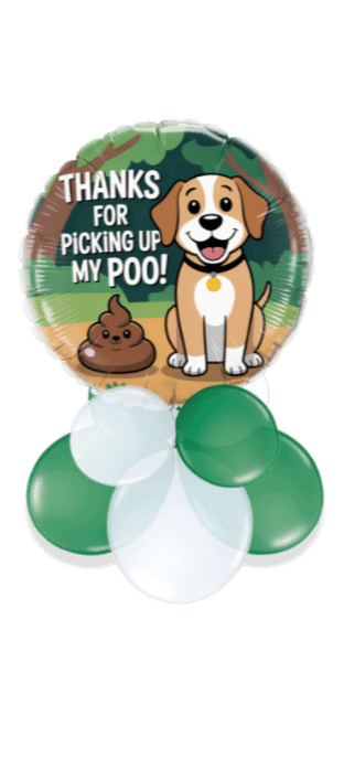 Poo Dad Balloon