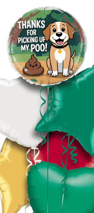 Poo Dad Balloon