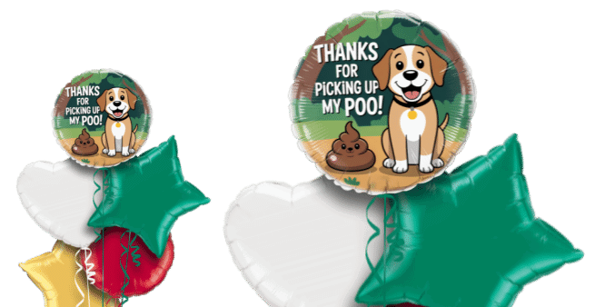 Poo Dad Balloon