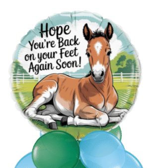 Foal Get Well Balloon