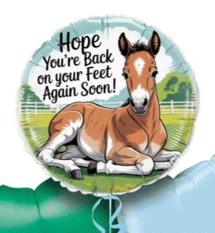 Foal Get Well Balloon