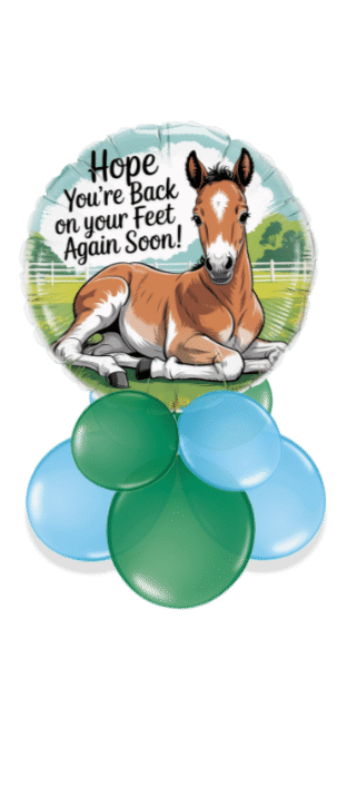 Foal Get Well Balloon