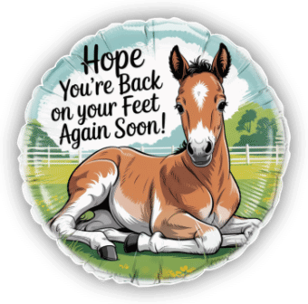 Foal Get Well
