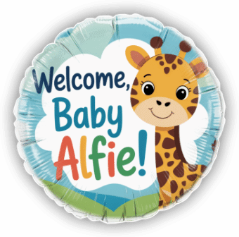 Baby Giraffe