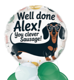 Clever Sausage Balloon