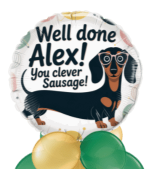 Clever Sausage Balloon