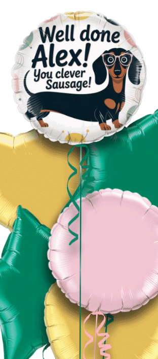 Clever Sausage Balloon