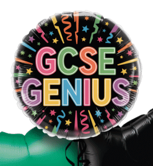 GCSE Genius Balloon