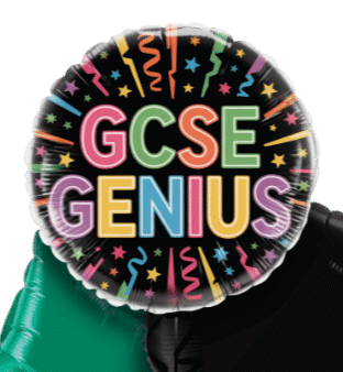 GCSE Genius Balloon