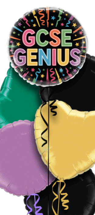 GCSE Genius Balloon