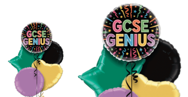 GCSE Genius Balloon