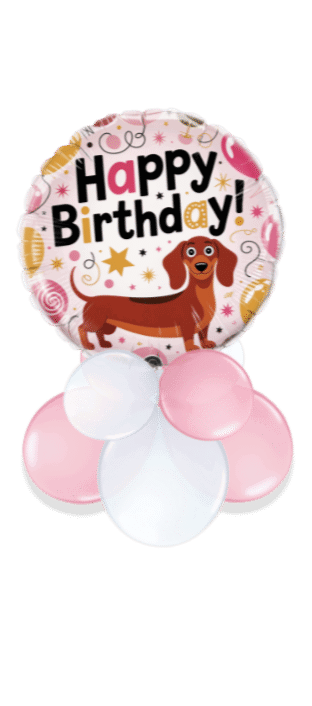Sausage Birthday Balloon