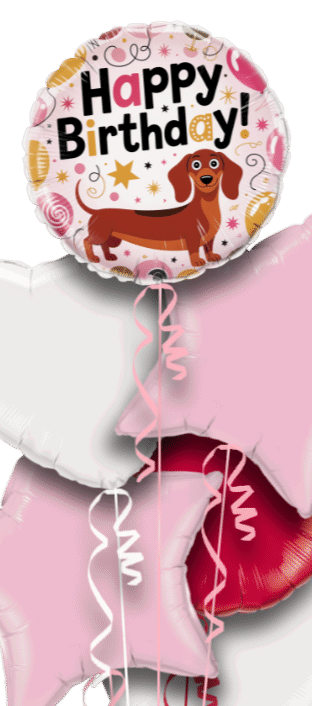 Sausage Birthday Balloon