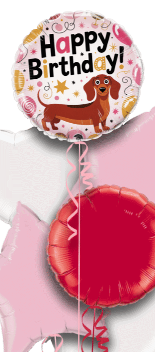 Sausage Birthday Balloon