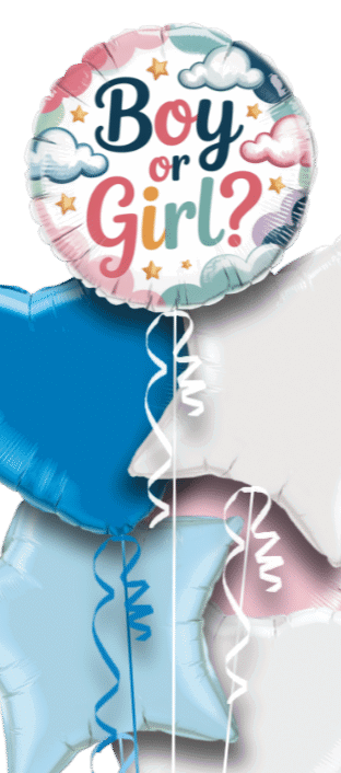Boy or Girl? Balloon