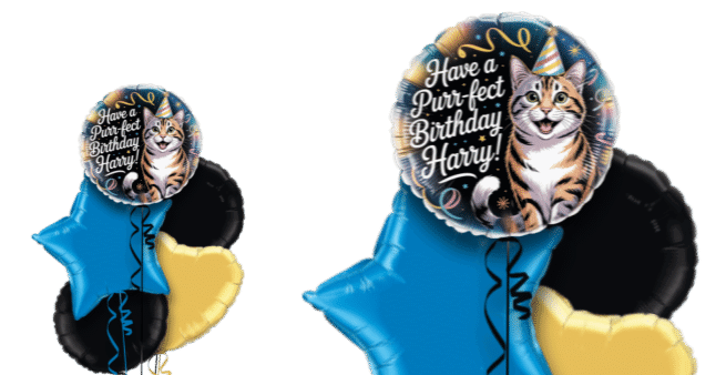 Purr-fect Birthday Balloon