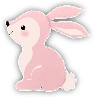 Baby Pink Bunny