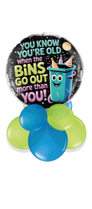 Bins Go Out More You Balloon