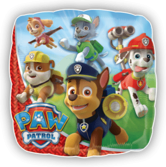 Paw Patrol Squad