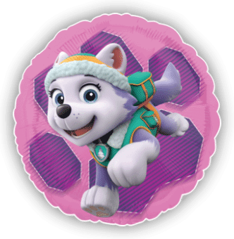 Paw Patrol Everest Rescue Pup